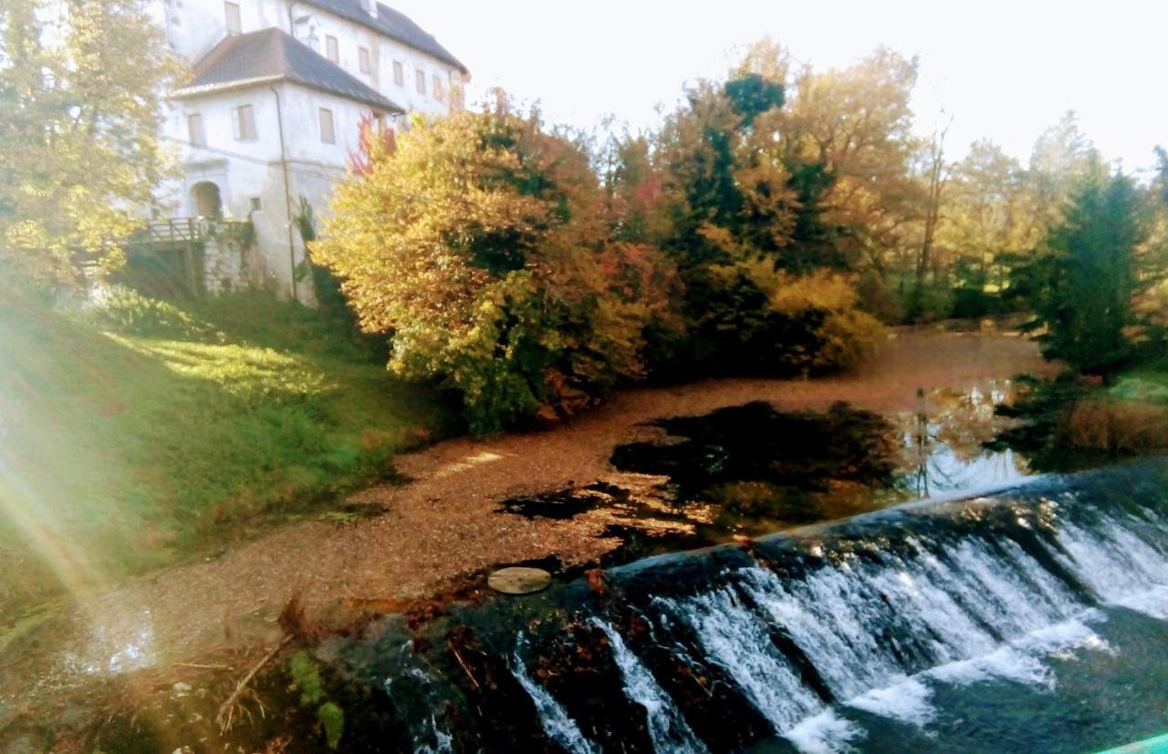 Apartma Kolpa Villa Gradac Exterior foto